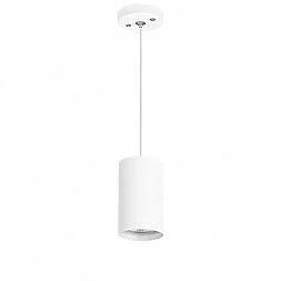 Комплект со светильником Rullo Rullo Lightstar RP436