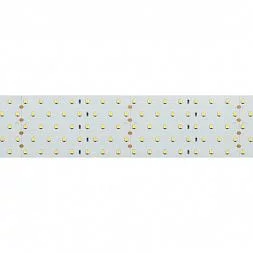 Лента RT 2-2500 24V Day4000 5x2 (2835, 875 LED, LUX) (Arlight, 36 Вт/м, IP20)