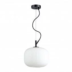 Подвесной светильник Odeon Light Pendant 4753/1